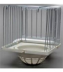 Elit Kanarya Dış Yuva