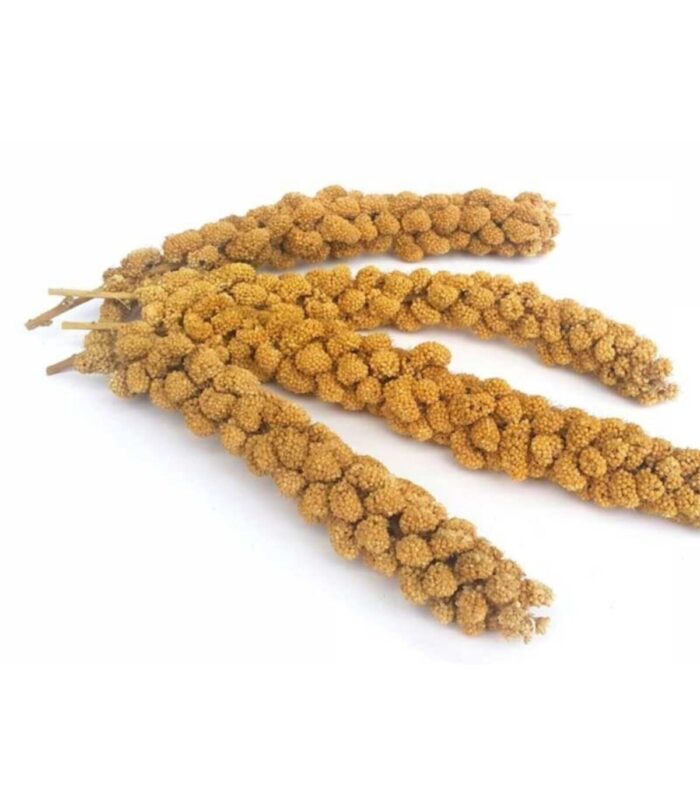 1_org_zoom-1063.jpg 1_org_zoom-1063.jpg