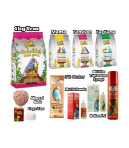 Besin Ve Sağlık Seti