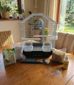 Muhabbet Kuşu Kafesi Süper Full Set - Yem, Tül, Vitamin ve Tüm Aksesuarlar Dahil Başlangıç Paketi