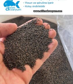 Vatoz Yemi Çöpçü Balığı Yemi Akvaryum Dip Yemi Besleyici Yemler 100 Gram