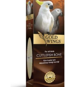 Premium Mürekkep Balığı Kalamar Kemiği Büyük Boy