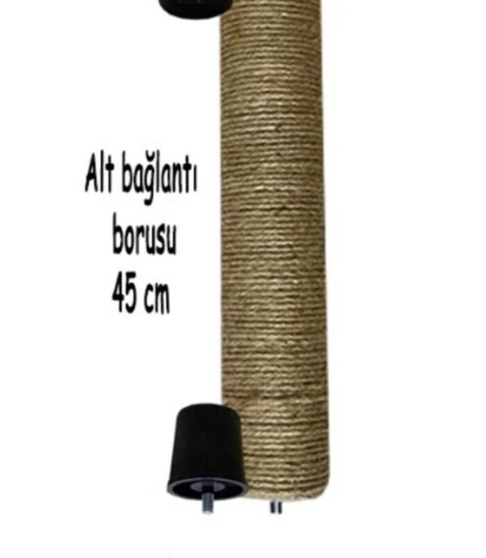 1_org_zoom-256.jpg 1_org_zoom-256.jpg