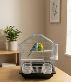 Çift Kapılı Orta Boy Hediyeli Kafes Seti - Muhabbet Kuşu ve Kanarya İçin