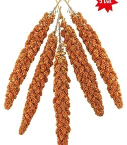 Kızıl Dal Darı - Tüm Kafes Kuşları Için Darı - Kuş Yemi - Yavru Kuşların Tüketimi Uygundur