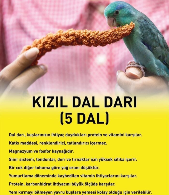 1_org_zoom-385.jpg 1_org_zoom-385.jpg