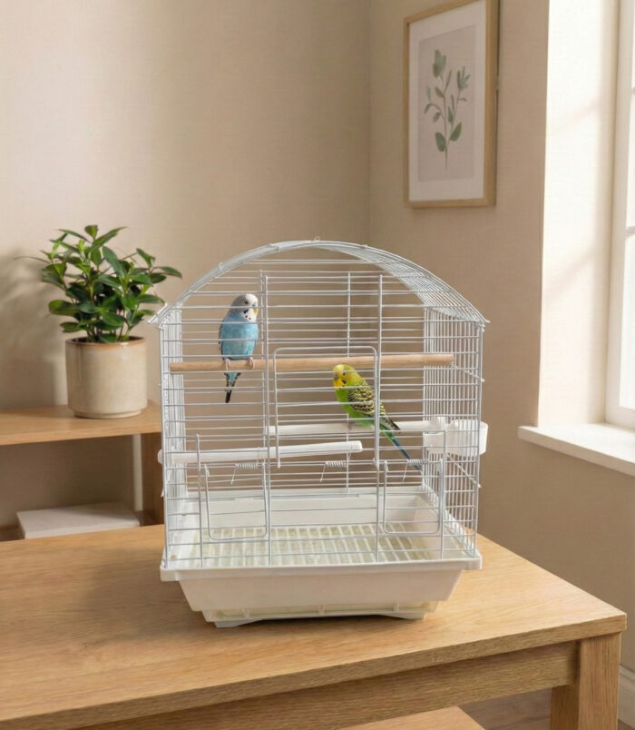 1_org_zoom-4.jpg 1_org_zoom-4.jpg