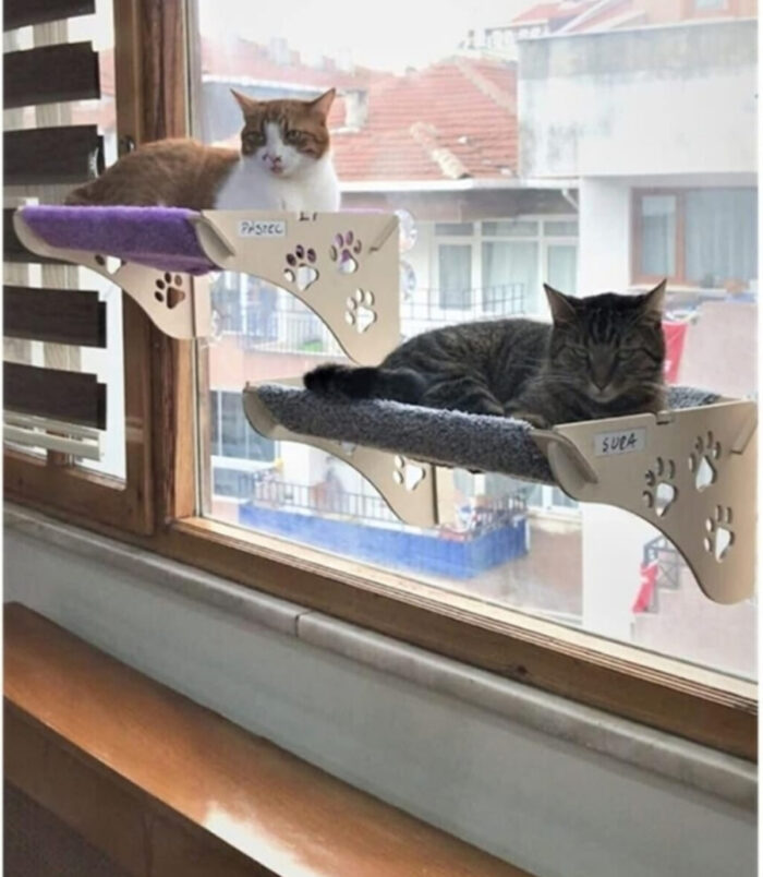 1_org_zoom-40.jpg 1_org_zoom-40.jpg