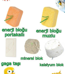 Enerji-mineral-kalsiyum Blok Seti