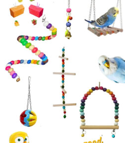 Muhabbet Kuşu Ve Papağanlar Için Mega Salıncak Oyuncak Seti 6'lı (1 ADET MEYVELİ GAGA TAŞI)