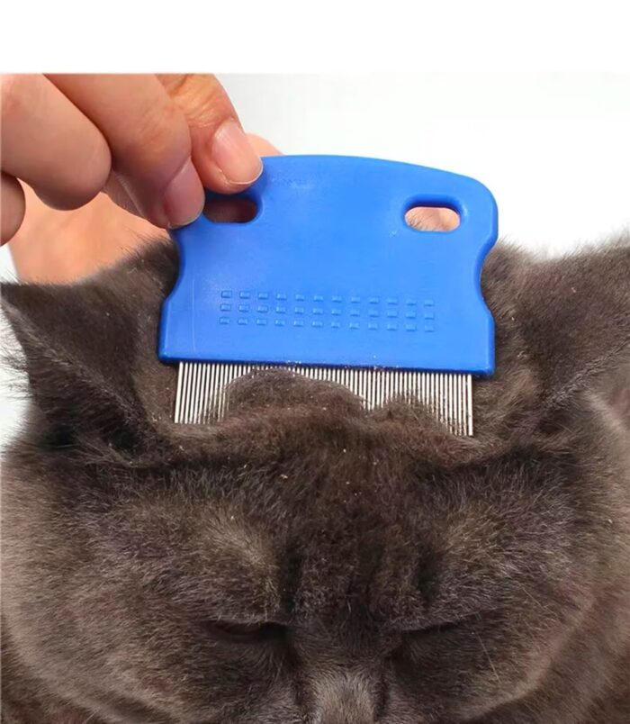 1_org_zoom-459.jpg 1_org_zoom-459.jpg