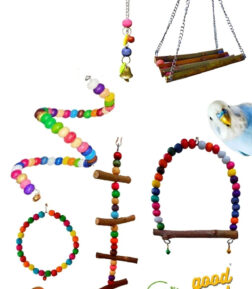 Muhabbet Kuşu Ve Papağanlar Için Mega Salıncak Oyuncak Seti 6'lı