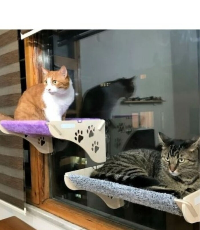 1_org_zoom-57.jpg 1_org_zoom-57.jpg