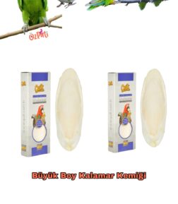 Mürekkep Balığı Kemiği ( Kalamar ) Büyük Boy 2 Adet