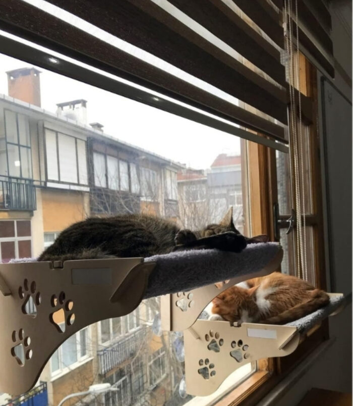 1_org_zoom-59.jpg 1_org_zoom-59.jpg