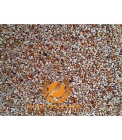 Aspur'lu Dal Darı Taneli Karışık Muhabbet Kuşu Yemi 3kg