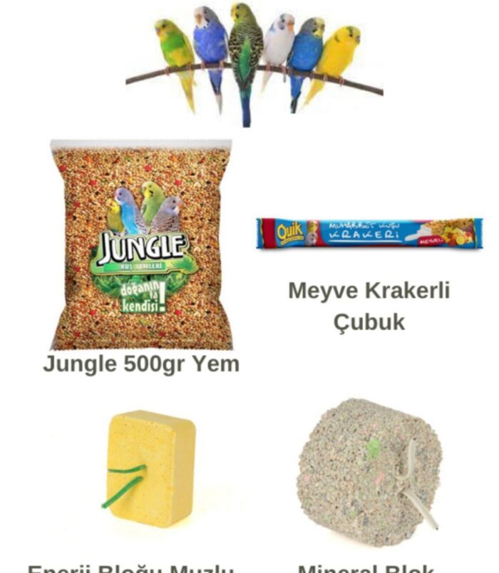 1_org_zoom-628.jpg 1_org_zoom-628.jpg