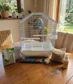 Muhabbet Kuşu Kafesi Süper Full Set - Yem, Tül, Vitamin ve Tüm Aksesuarlar Dahil Başlangıç Paketi