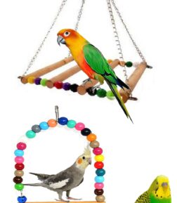 Papağan Köprü Ve Papağan Salıncağı