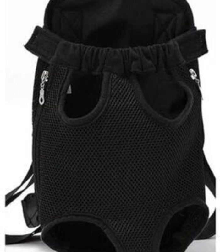 1_org_zoom-746.jpg 1_org_zoom-746.jpg