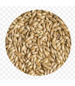 Aspur Kuş Yemi 300 gr