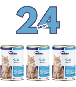 24 Adet Yetişkin Kediler Için Somonlu Yaş Mama 400 gr