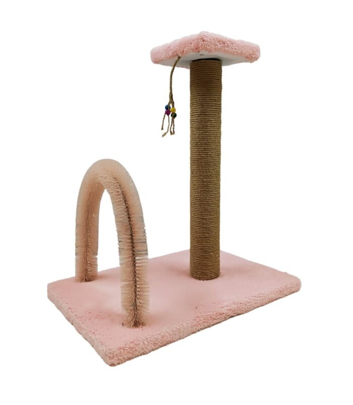 1_org_zoom-848.jpg 1_org_zoom-848.jpg