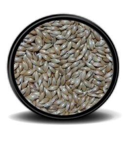 Sade Kanarya Yemi (aspur) 1 Kg