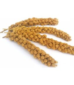 For Life AVM Doğal Dal Darı Sarı 1 kg