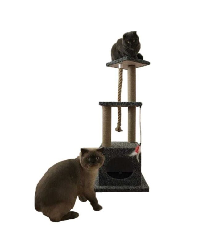 1_org_zoom-917.jpg 1_org_zoom-917.jpg