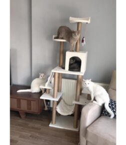 Kedi Tırmalama Evi Ve Oyun Platformu