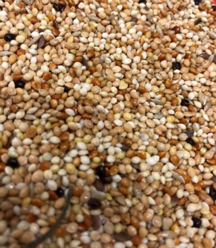 1_org_zoom-935.jpg 1_org_zoom-935.jpg