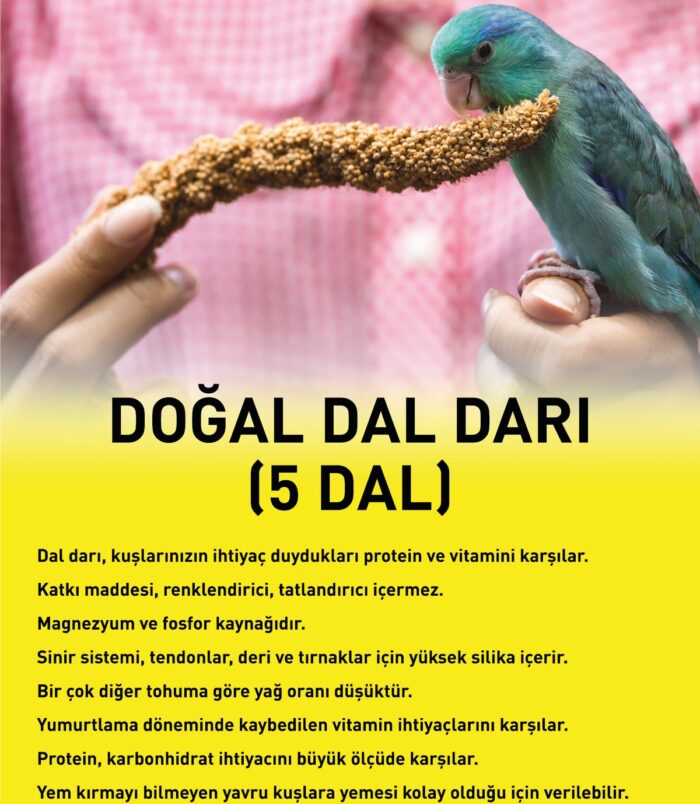 2_org_zoom-14.jpg 2_org_zoom-14.jpg