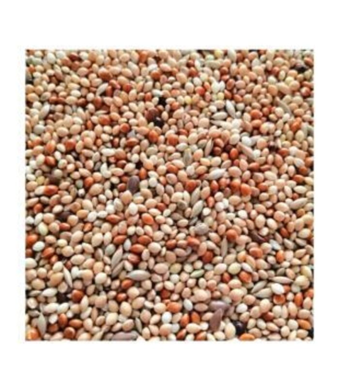 2_org_zoom-45.jpg 2_org_zoom-45.jpg