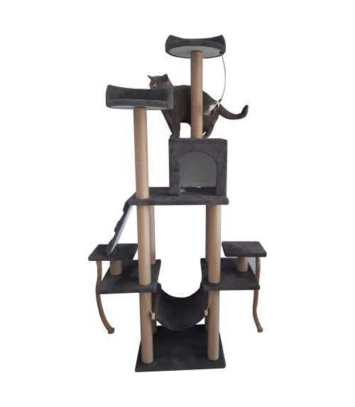 2_org_zoom-78.jpg 2_org_zoom-78.jpg