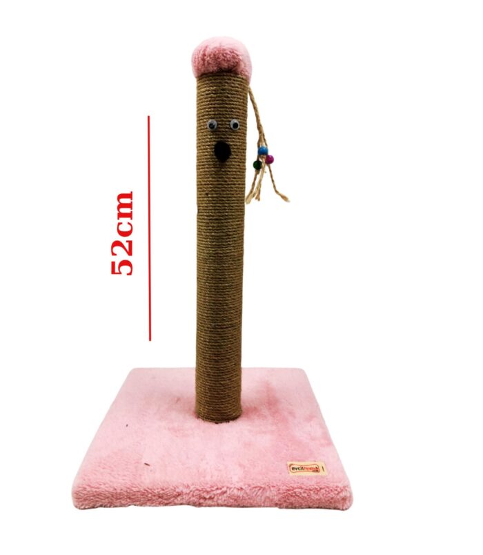 3_org_zoom-3.jpg 3_org_zoom-3.jpg