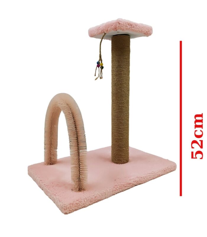 3_org_zoom-46.jpg 3_org_zoom-46.jpg