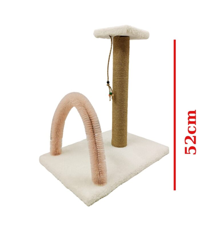 3_org_zoom-47.jpg 3_org_zoom-47.jpg