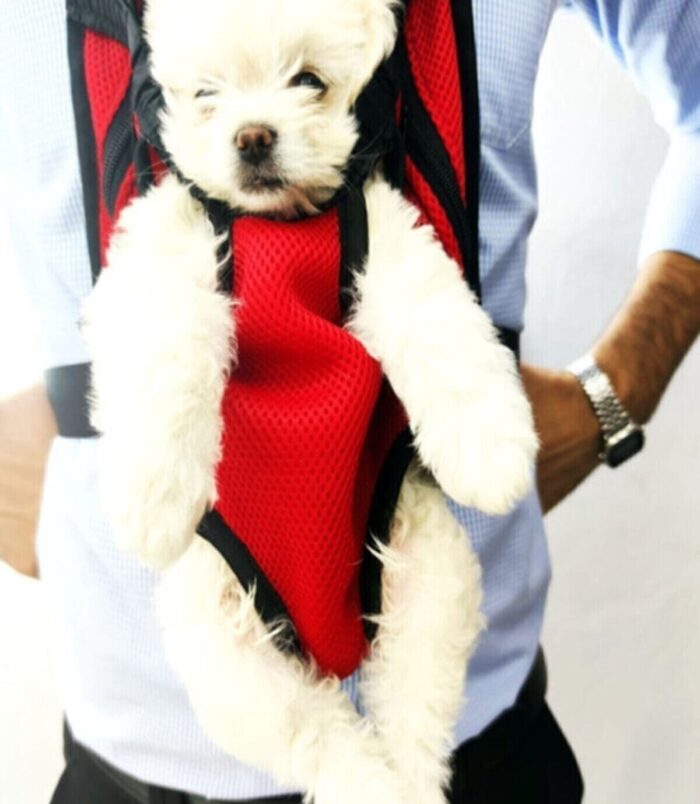 4_org_zoom-10.jpg 4_org_zoom-10.jpg