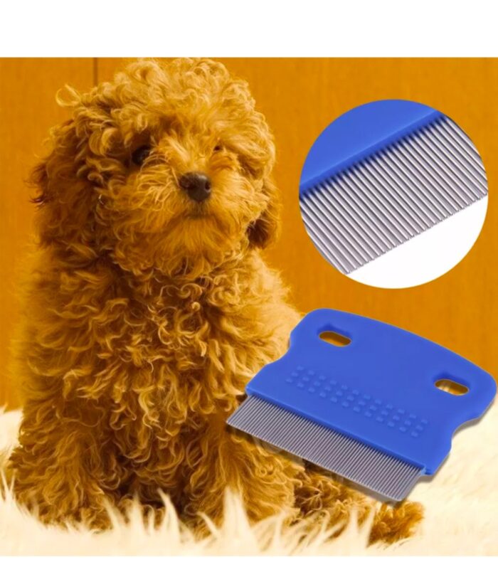 4_org_zoom-8.jpg 4_org_zoom-8.jpg