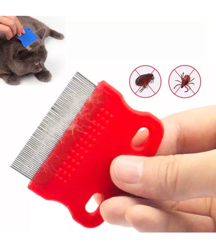 5_org_zoom-4.jpg 5_org_zoom-4.jpg